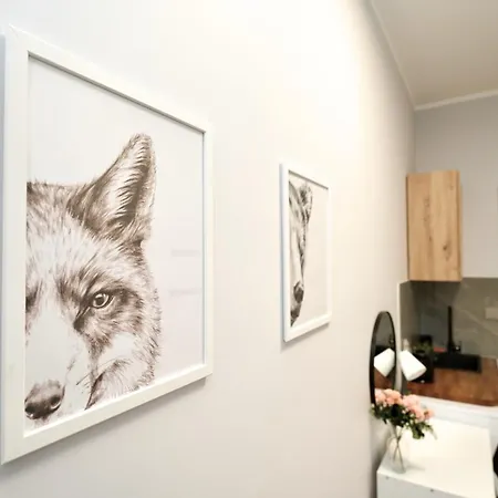 Mmrent Spirit Appartement