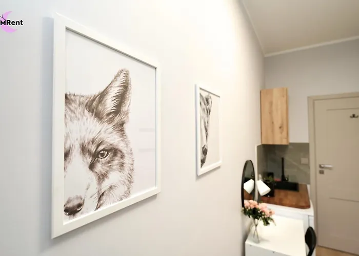 Mmrent Spirit Appartement